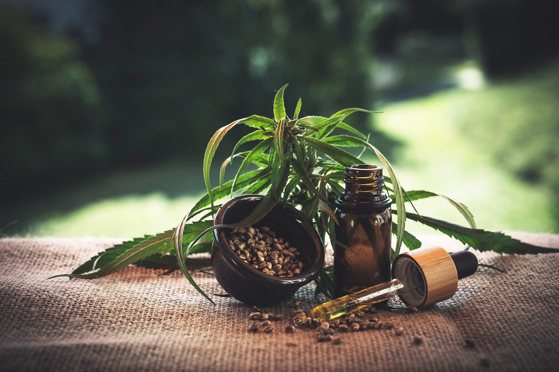 Bio-Hanf, Novel Food und Medizinal-Cannabis
